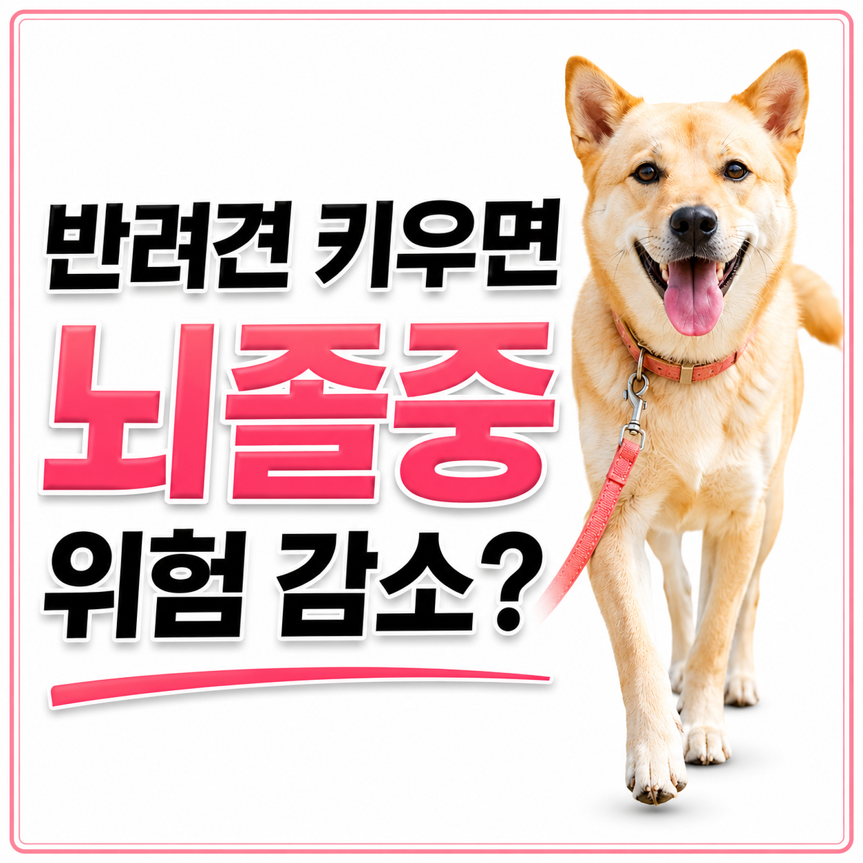 반려견 이미지