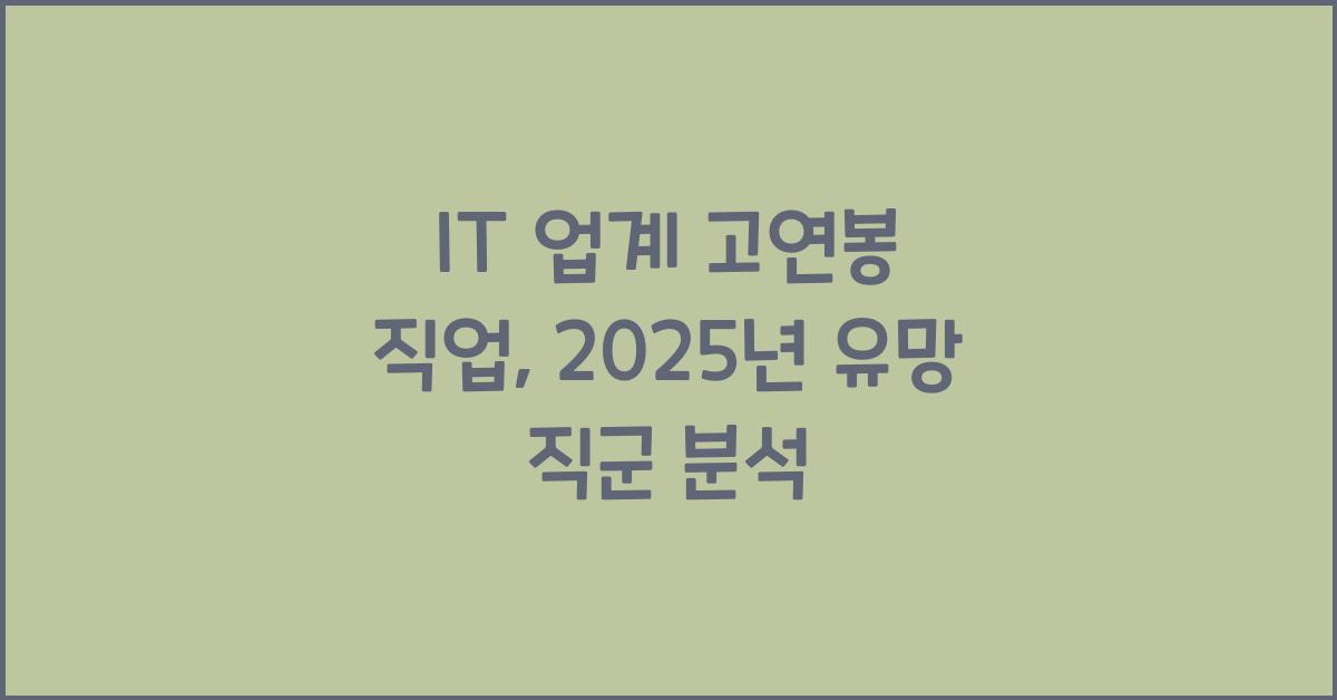 IT 업계 고연봉 직업