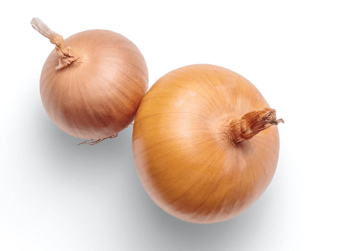 가래에 좋은 음식 양파