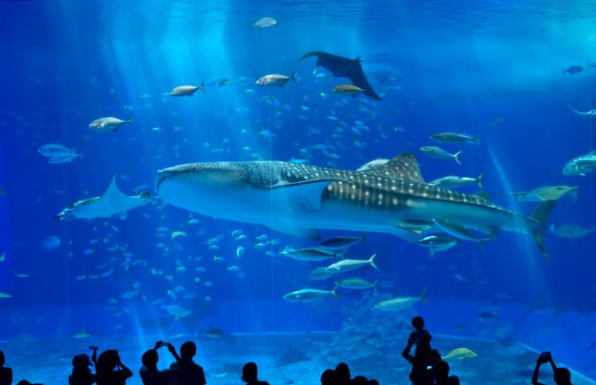 겨울철 따뜻한 해외 여행지