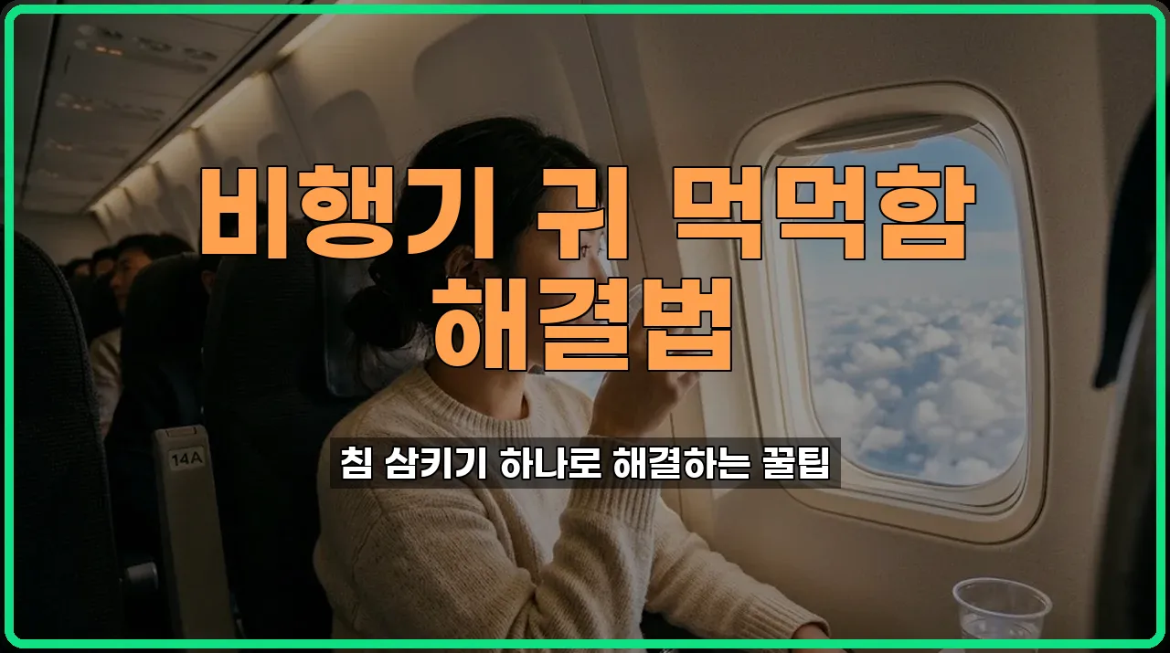 여행꿀팁