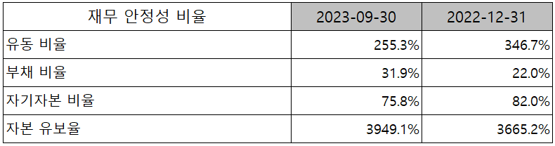 이녹스첨단소재 - 재무 안정성 비율