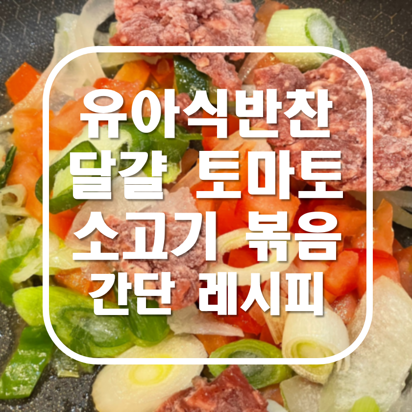 유아식 간단한 반찬 달걀토마토소고기볶음