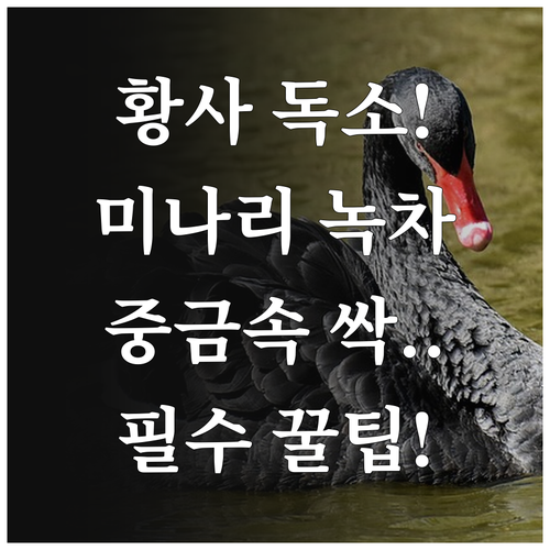 황사철 중금속 배출 돕는 미나리 녹차..