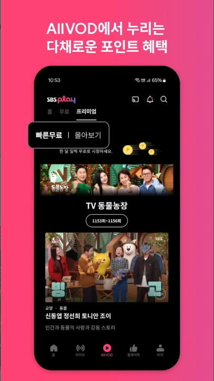 SBS TV 보기 앱, 에스비에스 티비 보기, SBS TV 방송 다시 보기