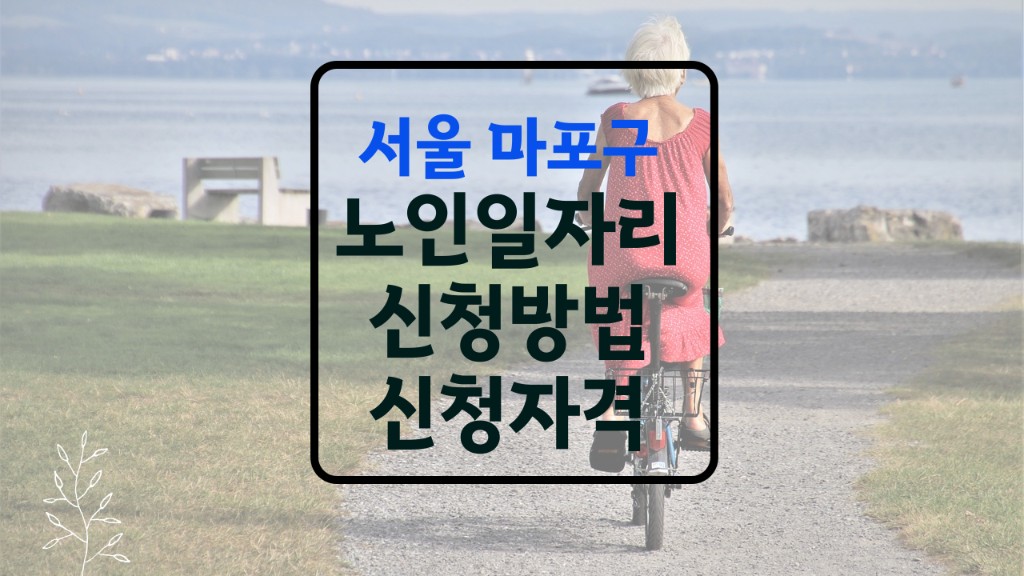 마포구 노인일자리