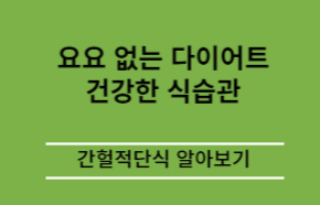 요요 없는 다이어트 간헐적 단식