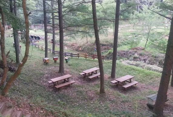 청송자연휴양림