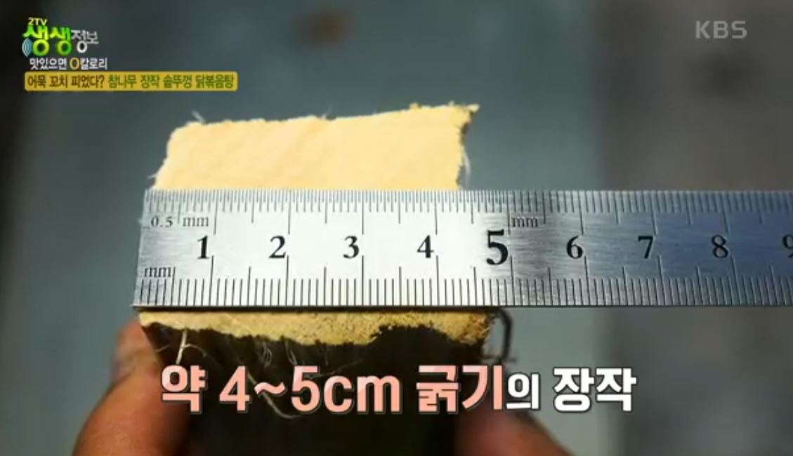 장작사용의 노하우