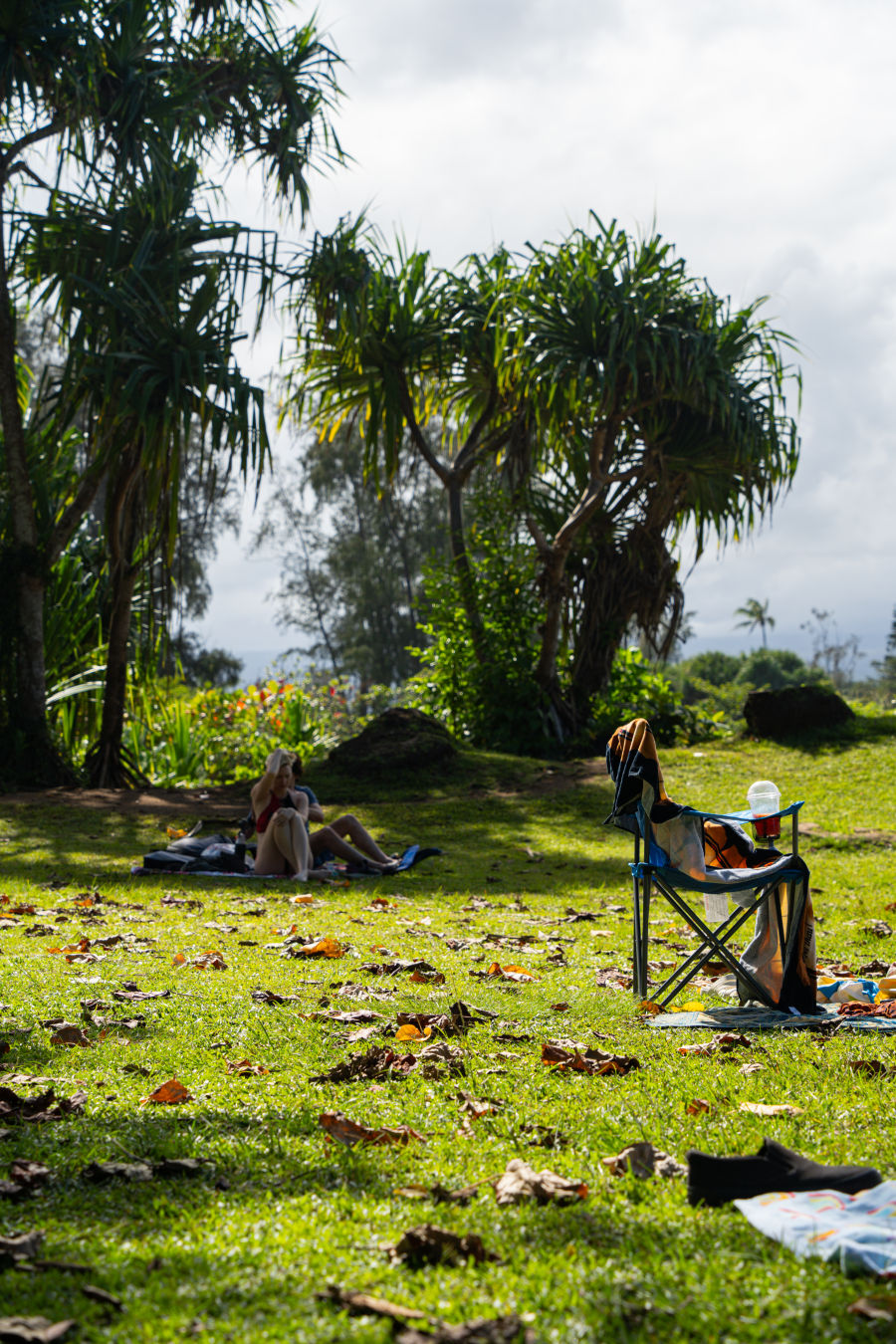 칼스미스 비치 공원 바다수영