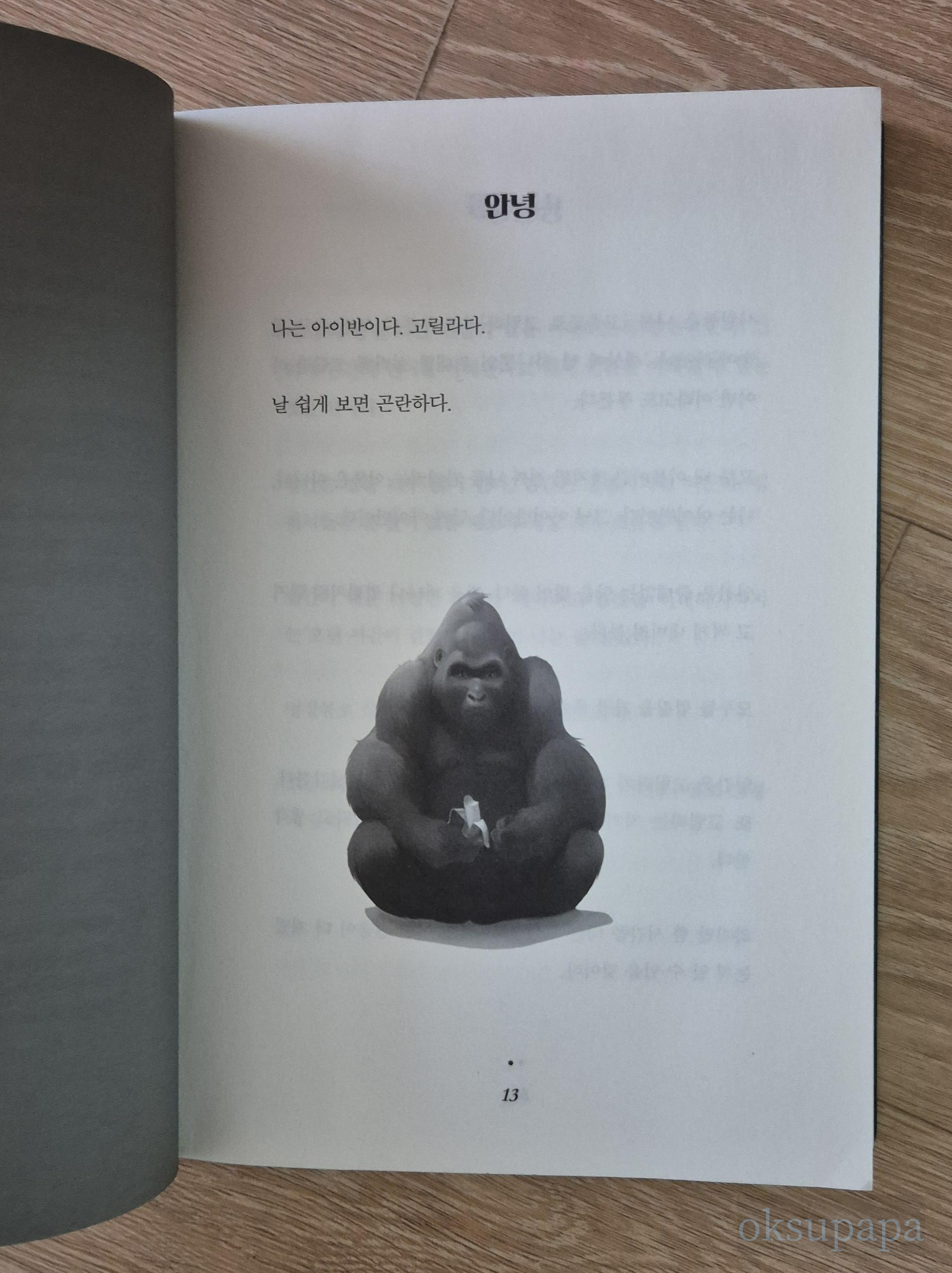 아이반 도서
