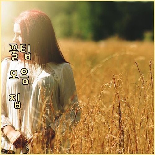 가을 피부 올영 세일로 끝! 보습 진..