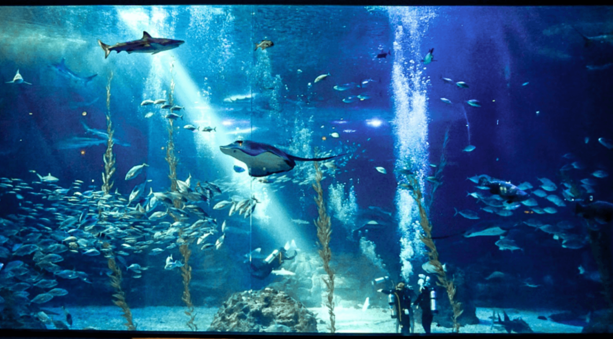 전남 여행 할인 전남관광플랫폼 이용 및 숙박 할인안내