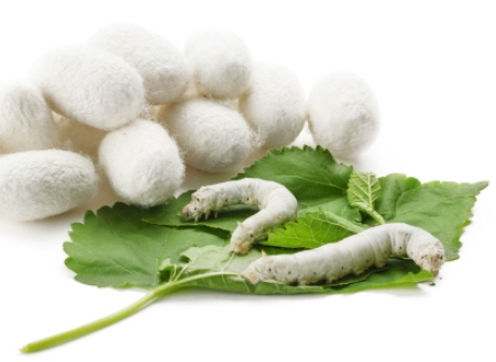 한국의 떡 종류 고치떡-누에고치