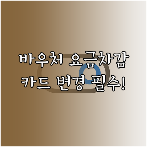 바우처 사용 방식 요금차감 국민행복카..