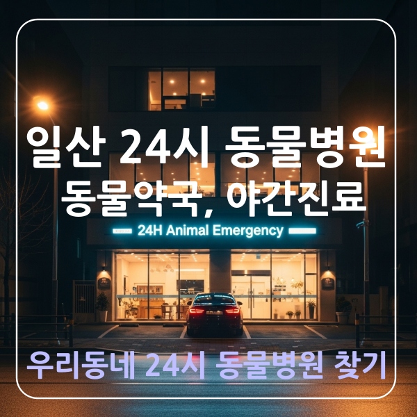 일산동물병원찾기