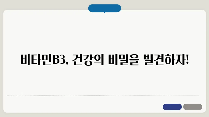 비타민B3 많은 음식