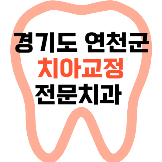 경기도 연천군 치아교정 치과 잘하는 곳 전문 치과 추천 가격 비용.png