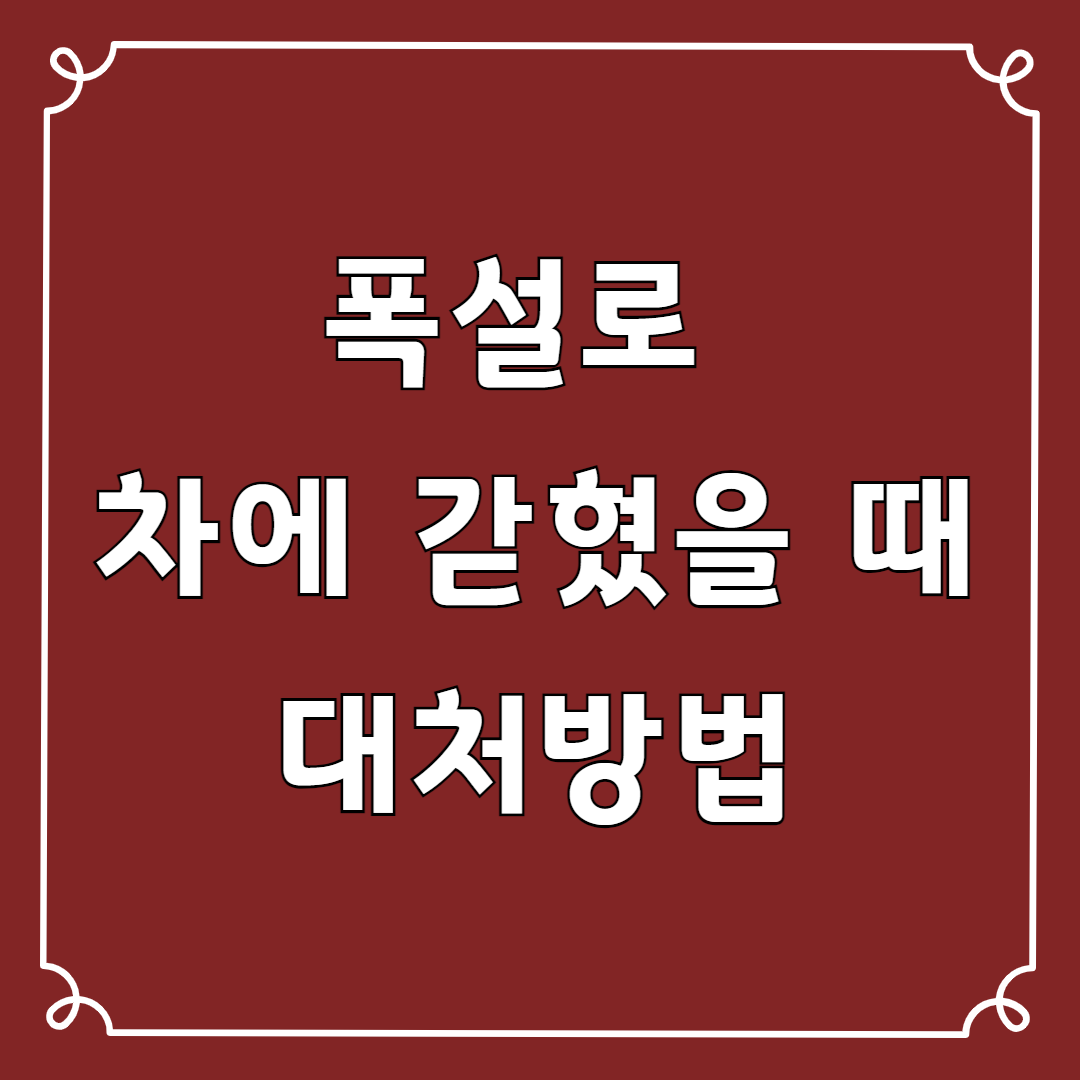 폭설로 차에 갇혔을 때 대처방법