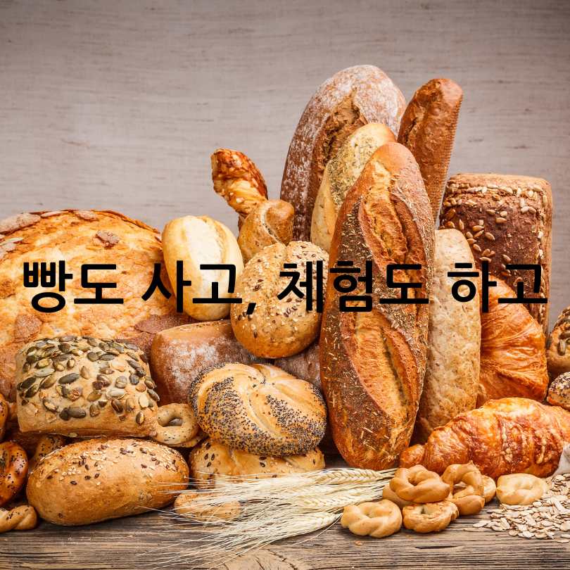 제2회 전국빵지자랑
