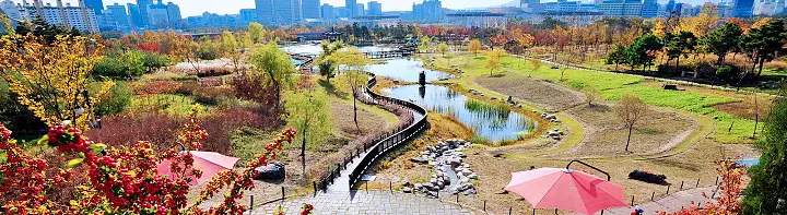 촬영 장소 이PD가 간다 대전 축제, 수목원 가볼만한 곳 추천