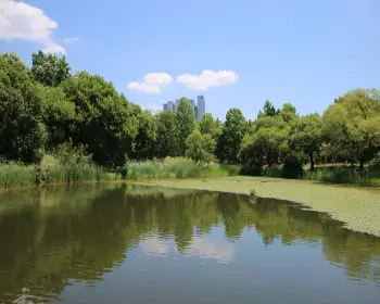 서울숲 공원 주차장4