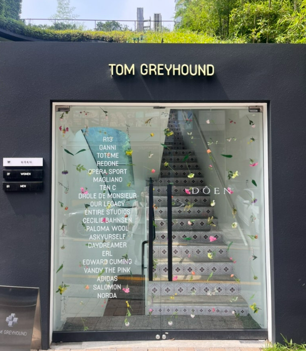 톰그레이하운드 도산