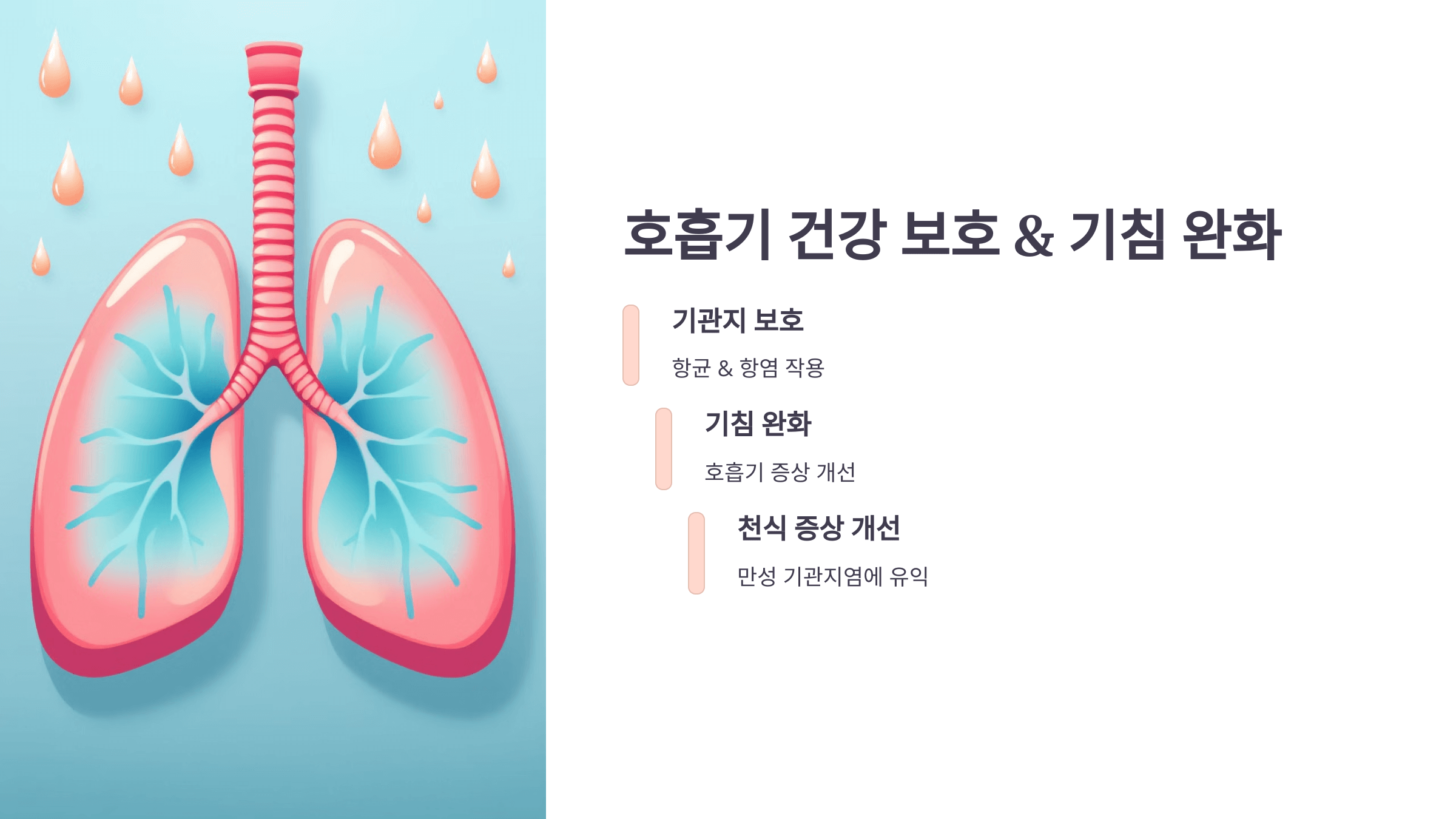프로폴리스 사진입니다.