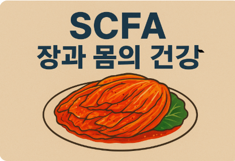 전통발효식품 김치 속에 생성된 미생물(SCFA)이 장과 전신 건강에 기여한다