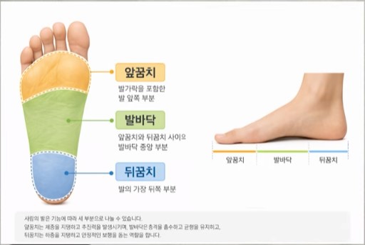 발바닥의 지탱 위치