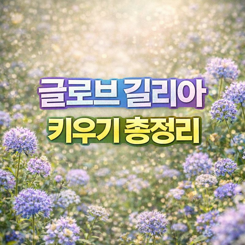 글로브 길리아 키우기, 꽃말&middot;물관리&middot;번식&middot;분갈이&middot;가지치기&middot;월동 썸네일 이미지