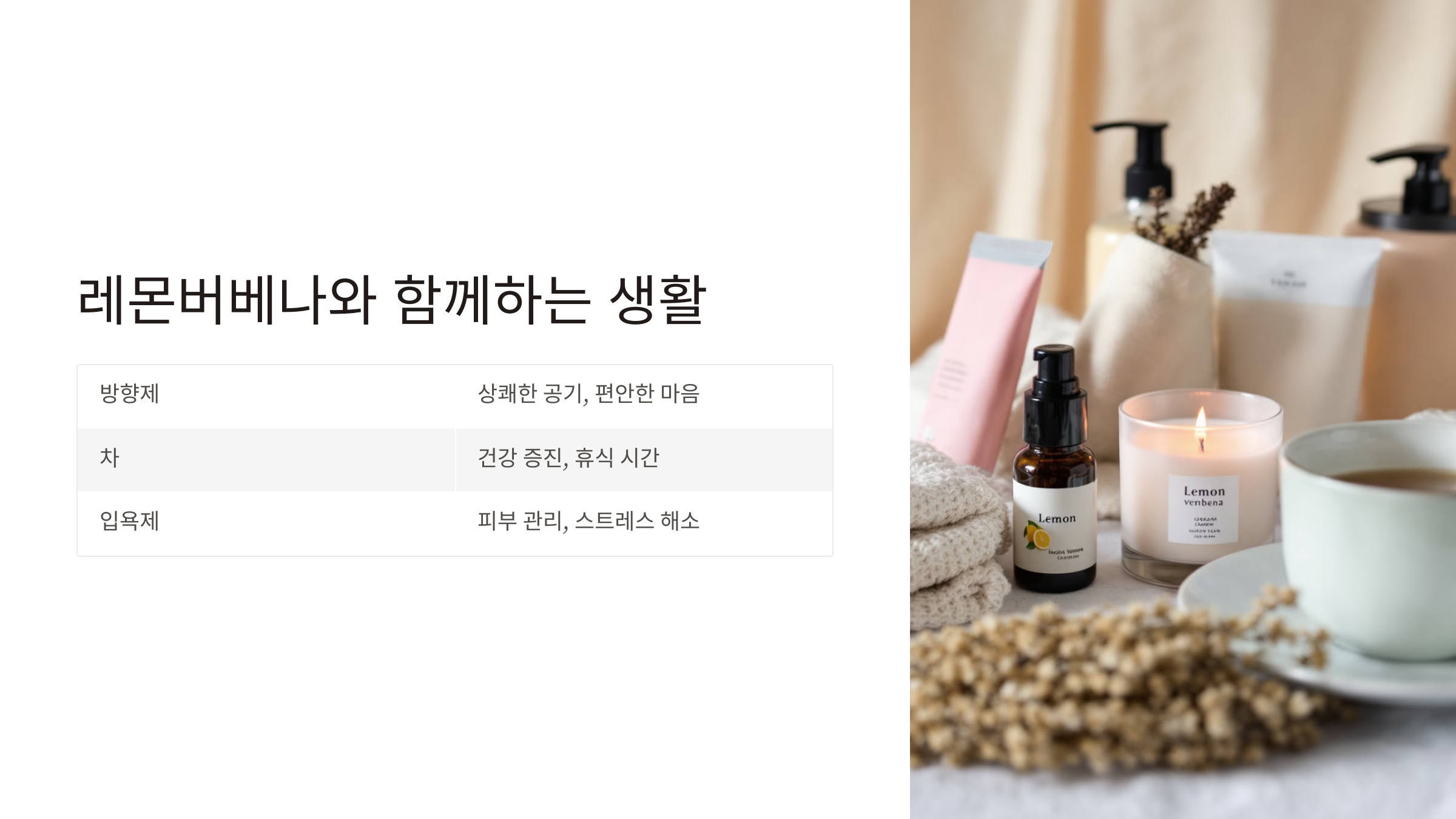 11월 13일의 탄생화