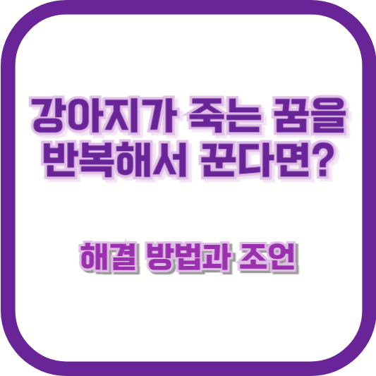 강아지가 죽는 꿈을 반복해서 꾼다면? 해결 방법과 조언