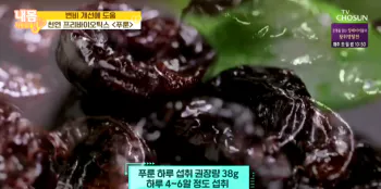 푸룬-하루-섭취량