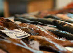 온누리상품권 환급행사! 수산물 구매하면 최대 2만원 환급!