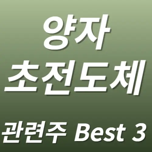 양자 초전도체 관련주 수혜주