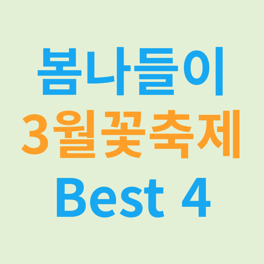 봄나들이 봄꽃축제 매화축제 산수유꽃축제 진해군항제 블라썸피크닉 벚꽃축제