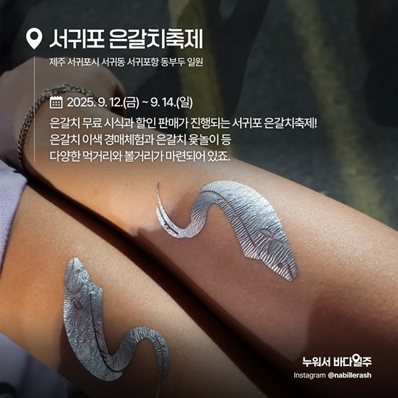 가을축제 대하 전어 꽃게 은갈치 홍성 남당항 서천 홍원항 광양 제주 서귀포 가을미식