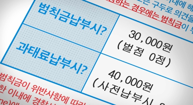 과태료와 범칙금의 차이