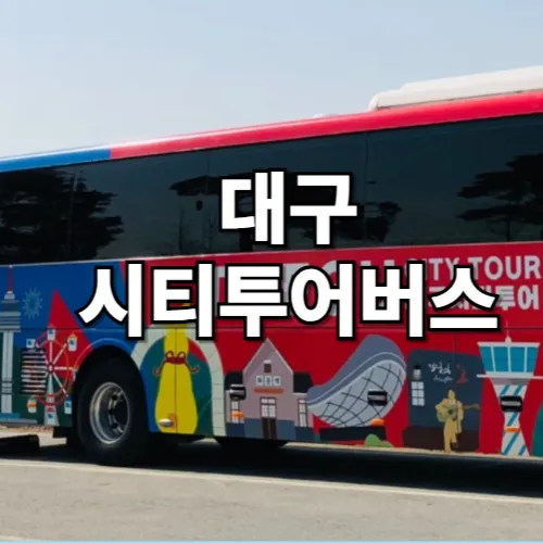 대구시티투어버스