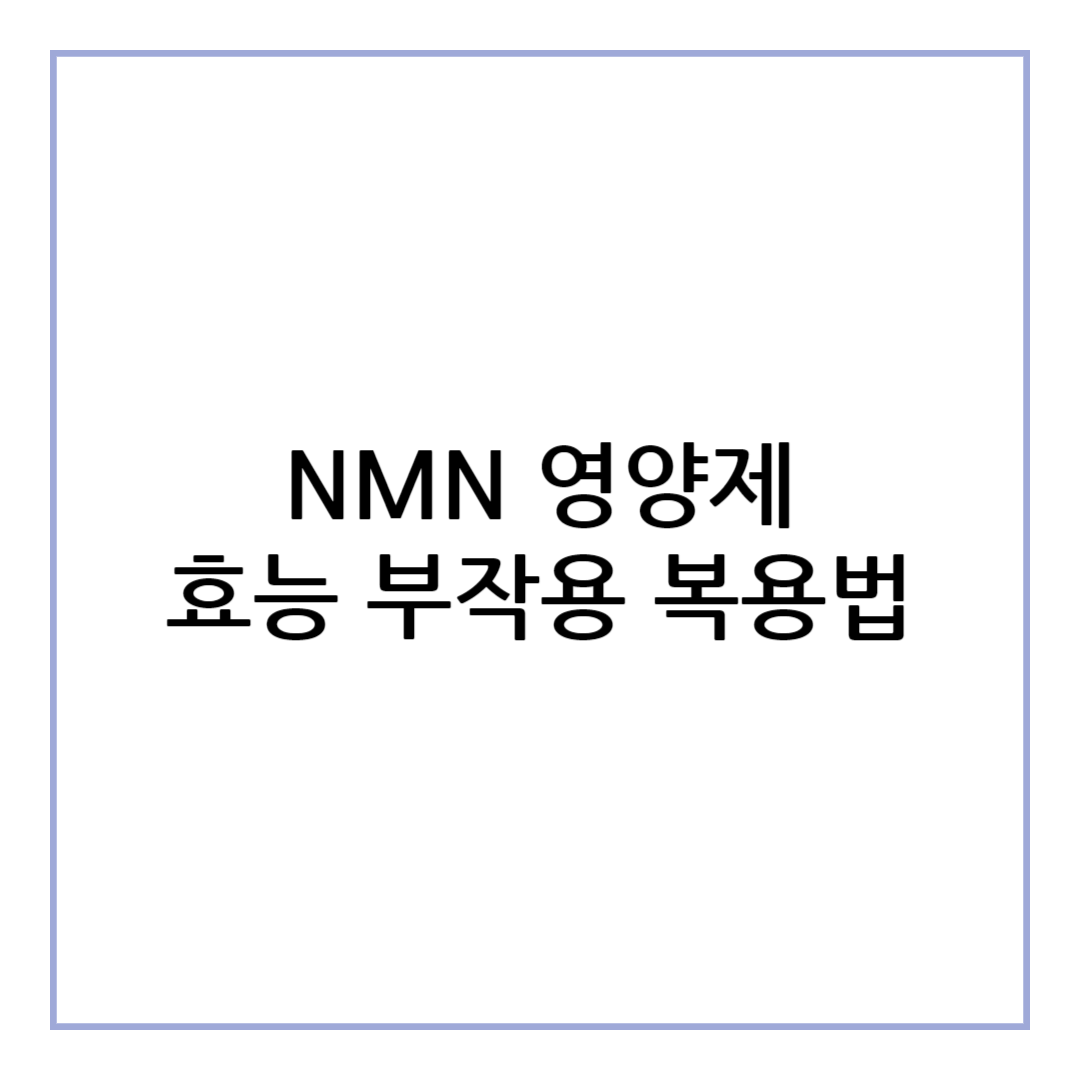 NMN 효능
