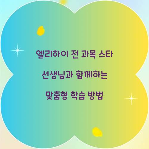 엘리하이 전 과목 스타 선생님