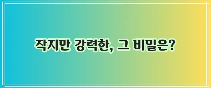 아몬드의 효능 놀랍지 않나요