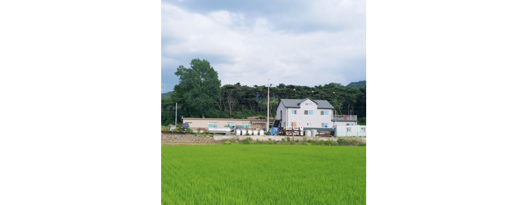 인천 강화군 요양원