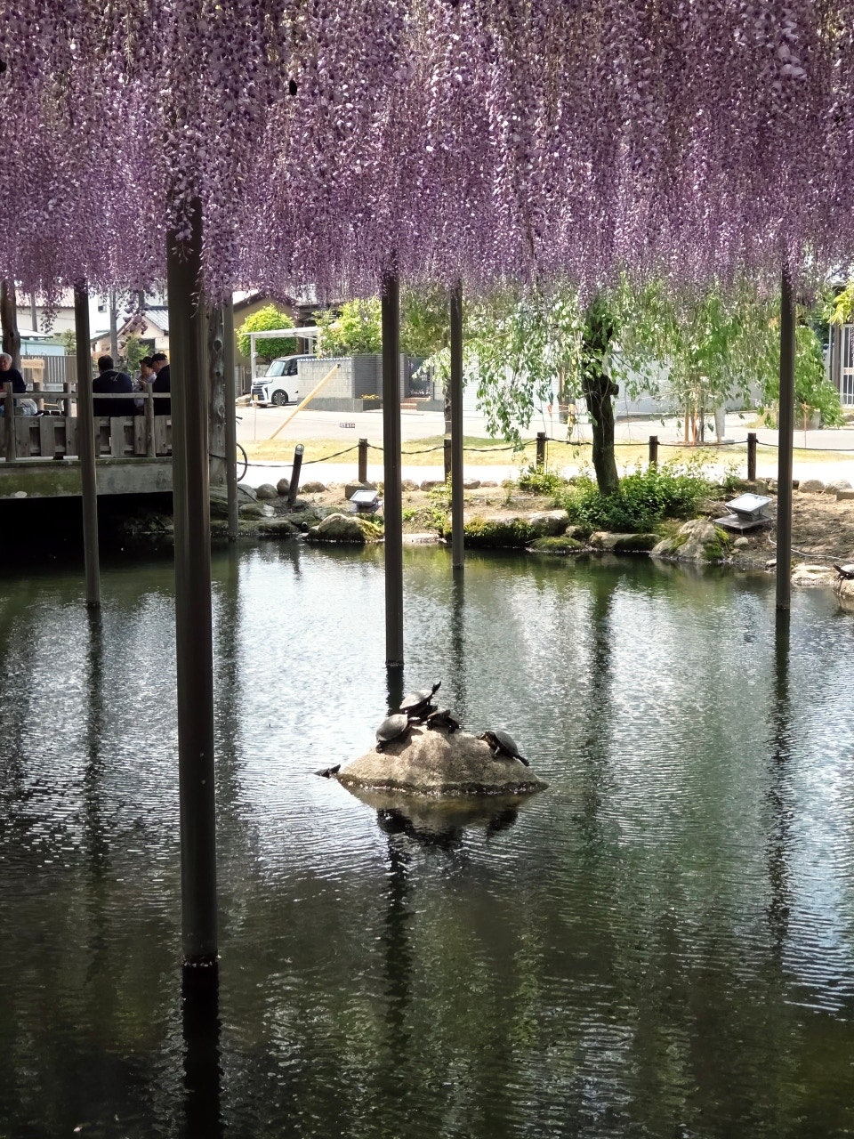 나고야역에서 쓰시마역 가는법,나고야역에서 츠시마역 가는법,후지마츠리,등나무축제,나고야 자유여행
,나고야근교여행,나고야소도시,나고야축제,일본축제