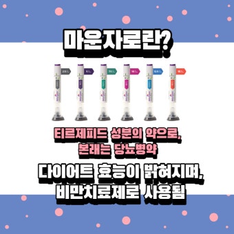 마운자로 관련 사진 첨부