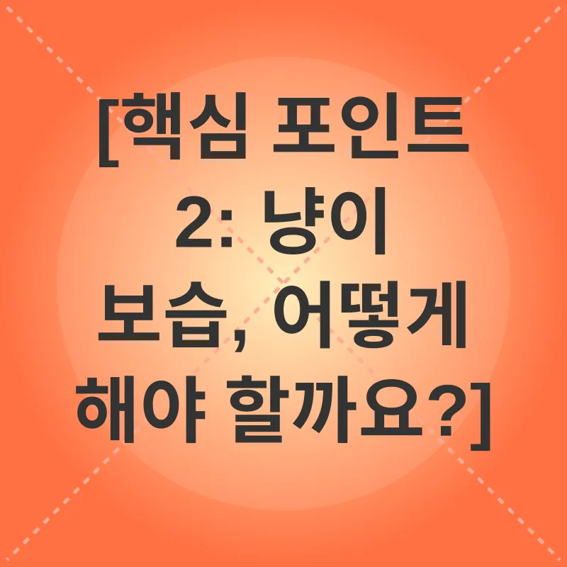 고양이 피부 보습_2