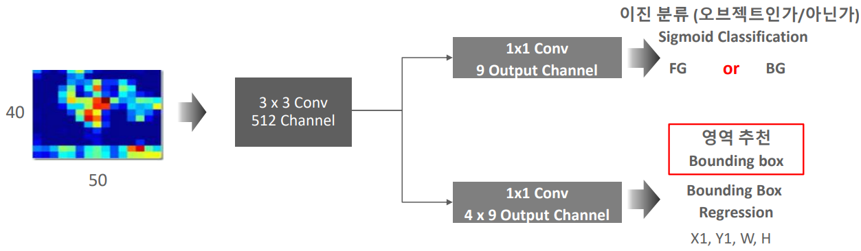 RPN 네트워크 구조