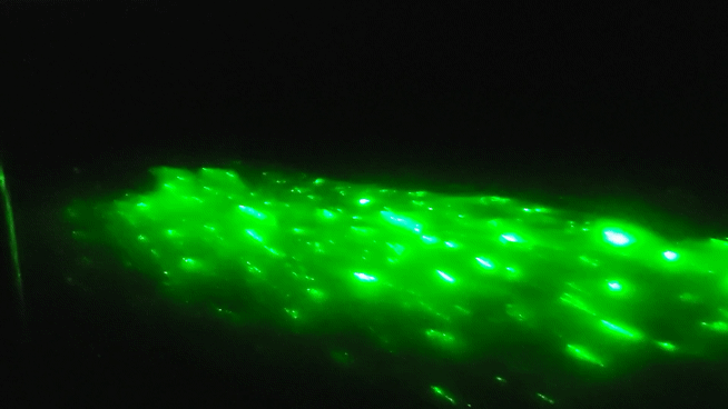 코타키나발루반딧불투어 위치 섬투어 자유여행