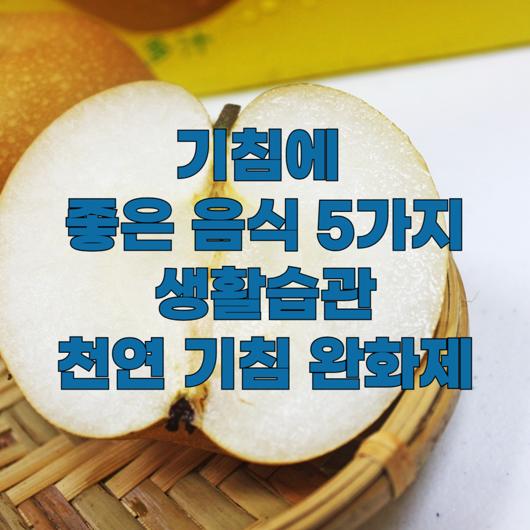기침에 좋은 음식 5가지와 생활습관, 천연 기침 완화제 추천
